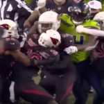 D.K. Metcalf vs. Dre Kirkpatrick Fight | Cardinals vs. Seahawks | NFL Week 11