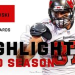 Rob Gronkowski Full Season Highlights | NFL 2020