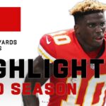 Tyreek Hill Full Season Highlights | NFL 2020