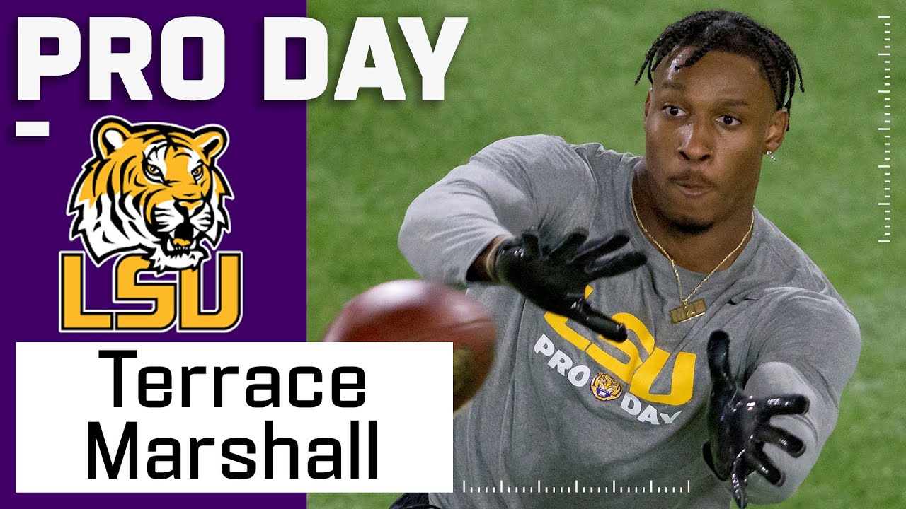 Terrace Marshall Jr Pro Day Highlights American Football Video Collection