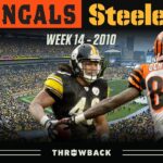 Troy Polamalu Locks Up Defensive Player of the Year! (Bengals vs. Steelers 2010, Week 14)