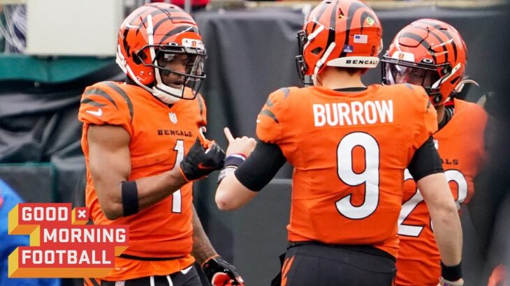 Are Bengals the Clear Cut AFC North favorites?