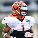 How Will the Bengals Handle Going from the ‘Hunters’ to the ‘Hunted’
