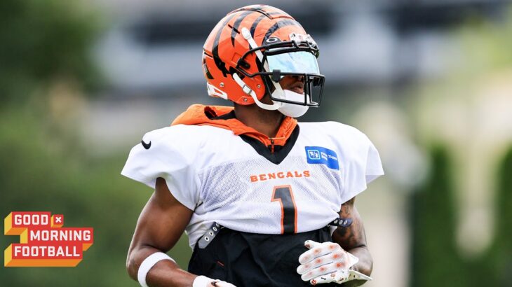 How Will the Bengals Handle Going from the ‘Hunters’ to the ‘Hunted’