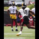 Diontae Johnson catch during minicamp practice 🎥 #steelers #nfl