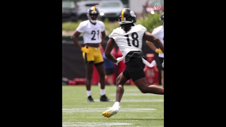 Diontae Johnson catch during minicamp practice 🎥 #steelers #nfl