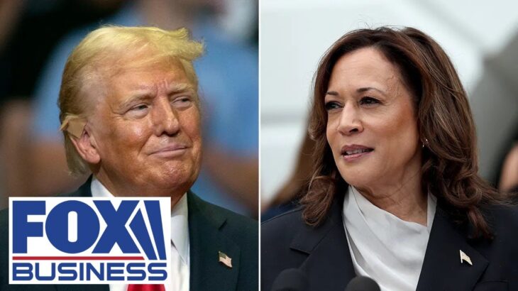 Former NFL player responds to Trump calling Kamala Harris ‘dumb’