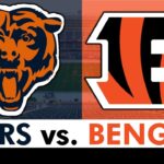 Bears vs. Bengals Live Streaming Scoreboard, Free Play-By-Play, Highlights | NFL Preseason Week 2