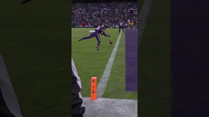 elite control 🔥 #tylanwallace #baltimore #ravens #nfl