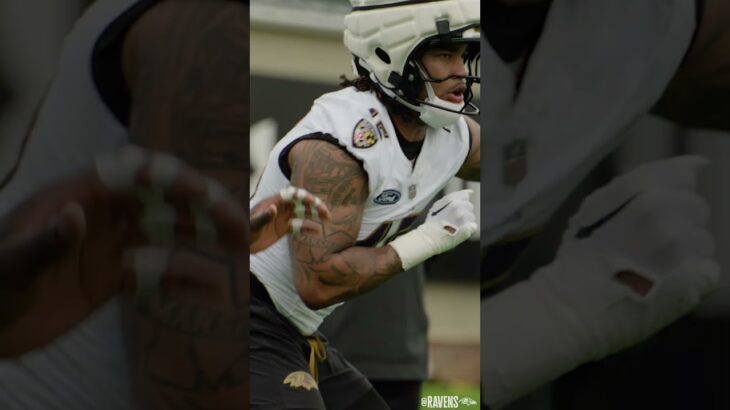 Mike Green is really like that ❗️ #firstlook #mikegreen #nfl #ravens