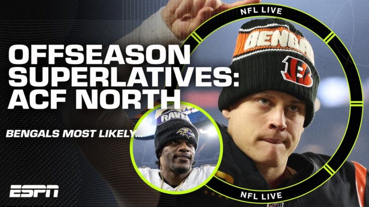OFFSEASON SUPERLATIVES: Bengals, Browns, Steelers & Ravens | NFL Live