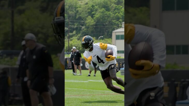 DK METCALF 🏈🙌 #Steelers #NFL #Shorts