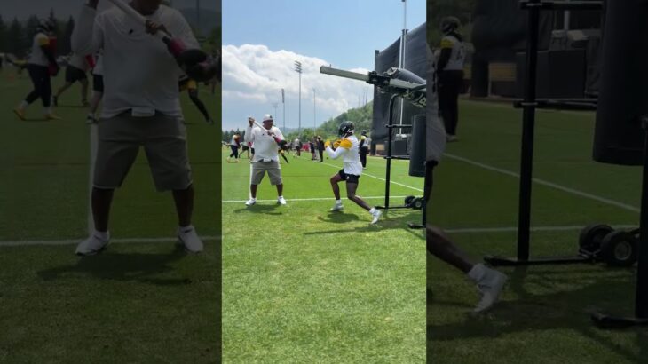 DK 😤 #Steelers #NFL #Shorts