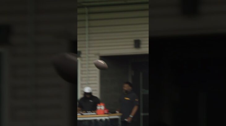Mason to Calvin #Steelers #NFL #Shorts