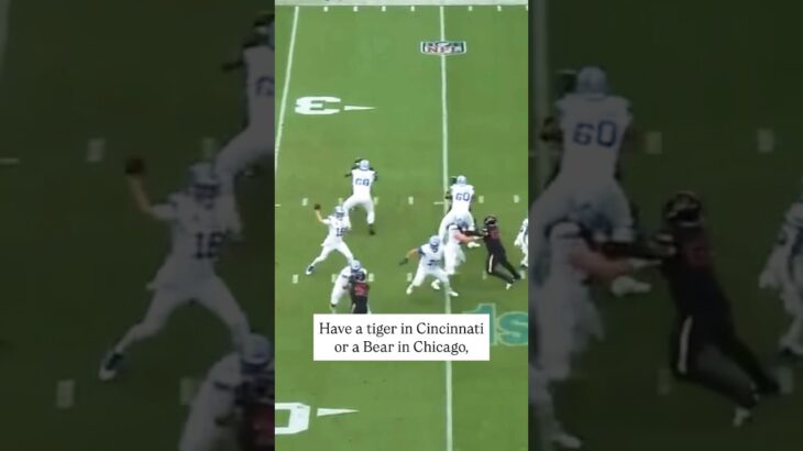 The Lions want a Lion on their sideline! #shorts #nfl #lions