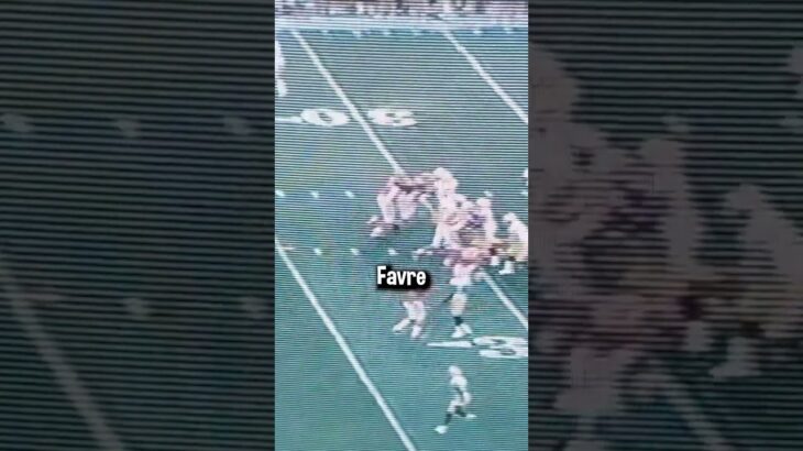 This Fan Won The Game For Them 😳 #nfl #nflfootball #football